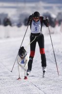 Lenk 2013